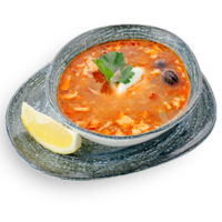 Солянка  